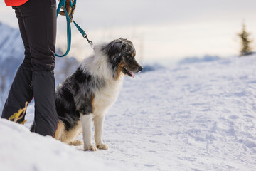 Woman enjoys a day outdoor hike on snowy mountain with her dog in winter