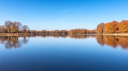 Calm lake with trees reflecting in the water under a clear blue sky.