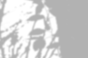 Gray leaf shadow and light blur abstract background on white wall, shadow overlay effect