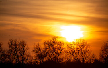 Sunset sky, orange and pink sunset tints on clouds, with silhouettes of trees without leaves in autumn. Forest landscape against sky with sunlight in golden hour.