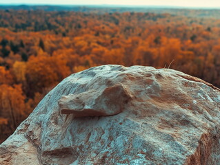 background for product photography,  panoramic view of the gray stone mountain, overlooking an autumn forest with colorful foliage. distant hills. In front is a large flat rock. surrounding nature. Hi