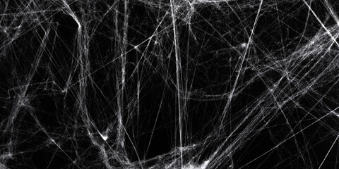 Halloween decoration concept. Artificial spider web decoration on black background
