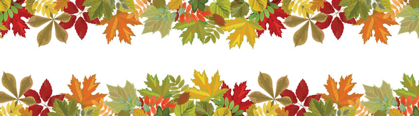 Autumn leaves pattern background, support plan. Vector illustration.