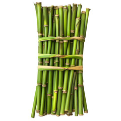Fototapeta premium Branches of bamboo PNG cutout isolated on white transparent background.