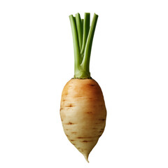 Red turnip isolated on white and transparent background. PNG cutout