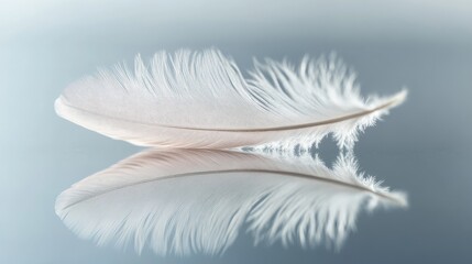 Obraz premium Ethereal Feather Reflection - A Peaceful Moment of Tranquility