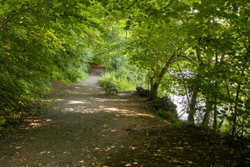 Fototapeta premium Metal bench seat on tree lined riverbank footpath and next to hand rail down to waterside