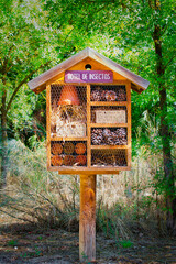 Insect hotel surrounded by vegetation in a forest, with a sign that says: 