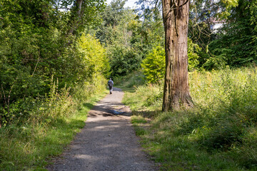 Young man walking woodland path or trail lined with trees grasses and wildflowers wearing backpack and baseball cap