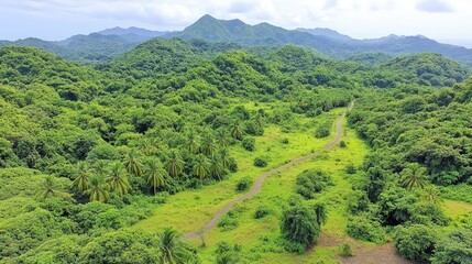 Obraz premium Aerial view of a winding mountain road cutting through dense forest, with sharp curves and scenic landscapes