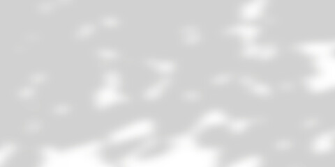 Tree leaves soft shadows. Natural pattern, gray shadow. Copy space and transparent backdrop with png