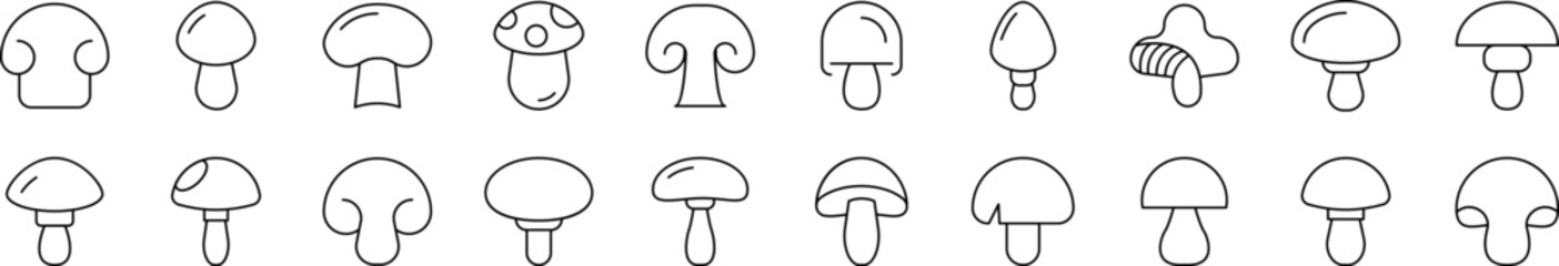 Mushroom Related Line Icons for Web Sites, Books, Cards, Apps. Editable Stroke. Suitable for Web Sites, Books, Cards, Apps
