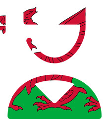 Wales flag on Male student icon