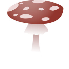 Simple illustration deep red coloured capped fly amenity mushroom with white round spots on the cap and white stem. White background separated.