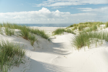 Dünenlandschaft an der Nordsee