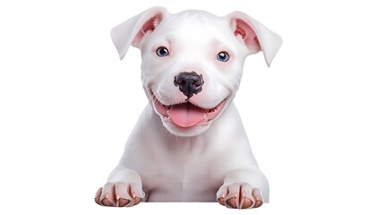 Obraz premium Adorable Playful Puppy Illustration