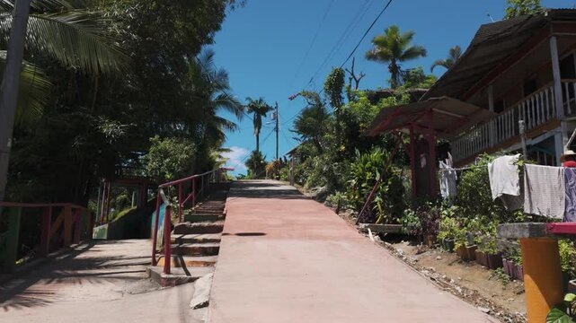 Peaceful walkway lined with tropical plants and rustic houses on Bastimentos Island in Bocas del Toro, Panama, under a vibrant blue sky.