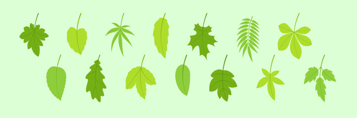 Spring leaves. Green leaf vector set.