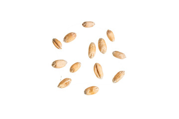 wheat grains isolated on white background	
