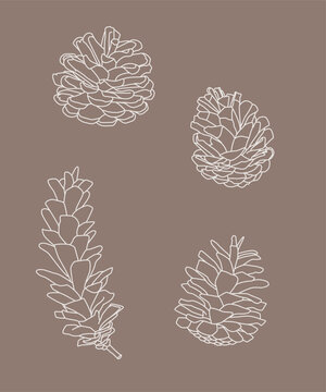 Pigna stilizzata. Illustrazione pigna minimale monolinea. Sfondo natura, autunno, bosco.