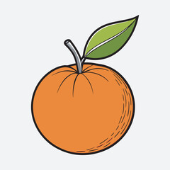 Orange Vector art Illustration Eps file ,