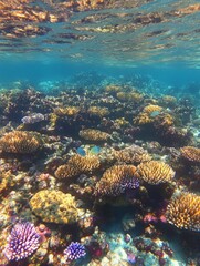 Fototapeta premium Vibrant coral reef teeming with life underwater. (1)