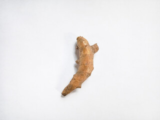 White turmeric on white background. White turmeric (Curcuma zedoaria). Fresh turmeric roots. Herb and medicinal plants. Flat lay. Top view.