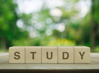 Study letter on wood block cubes on wooden table over blur tree in park, Business, education and learning concept