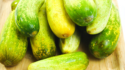 Freshly Picked Cucumber from the Garden