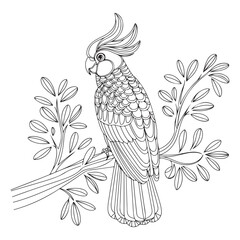 Obraz premium Stunning Parrot Mandala Art: Vector Illustrations and Designs