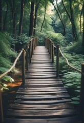 Wooden Bridge in the Forest Park