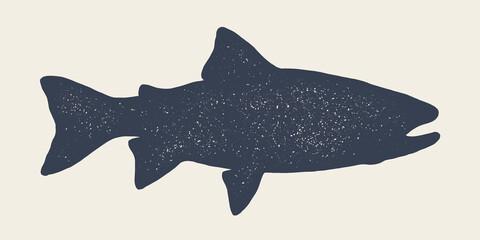 Salmon fish seafood, sketch. Vintage retro print, seafood salmon fish sketch, logo sign template, ink pencil style drawing, engrave old school. Hand drawn sketch salmon fish. Vector Illustration © foxysgraphic