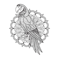 Fototapeta premium Stunning Parrot Mandala Art: Vector Illustrations and Designs