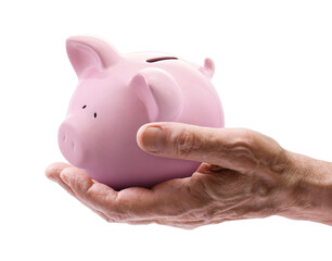 Pink piggy bank in senior hand isolated on white background