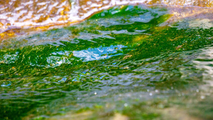Green moss on rocks in a flowing river with a natural background