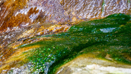 Green moss on rocks in a flowing river with a natural background