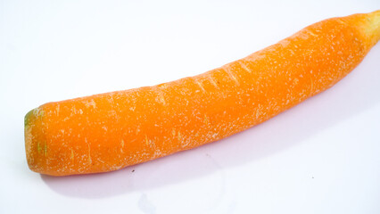 Freshly Harvested Carrot from the Garden