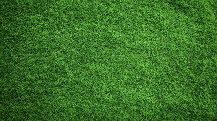 Fototapeta premium Beautiful Green Grass Texture from a Top Down View