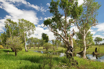 Landschaft am Mary River im australischen Northern Territory