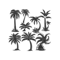 Obraz premium Set of palm tree engraved vintage design