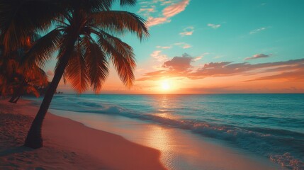 Obraz premium A palm tree stands silhouetted against a vibrant sunset on a tropical beach with the ocean in the background.