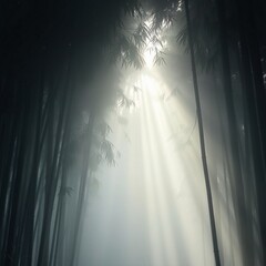 fog in nature