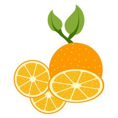 orange vector custom food fresh yellow, green, art, healthy nature  health food