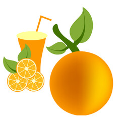 orange vector custom food fresh yellow, green, art, healthy nature  health food