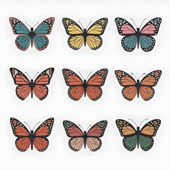 collection of  butterfly
