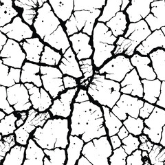Intricate Black and White Cracked Surface Pattern