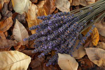 Close-up of a lavender bouquet resting on fallen autumn leaves, blending vibrant purple hues with warm golden tones