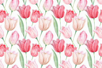 水彩画チューリップのシームレスパターン、白背景
