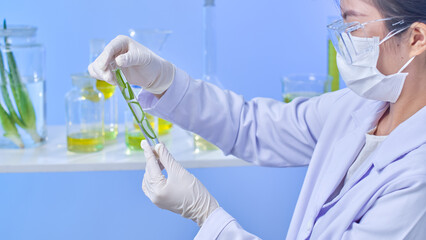 Samples of contemporary laboratory photo format were viewed by the researcher in a test tube...