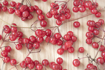 Viburnum berries on a wooden surface